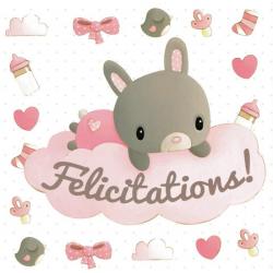 http://www.planete-images.com/boutique-images/11678-home_default/carte-elen-lescoat-titi-pinson-felicitations-naissance-fille-135x135-cm.jpg