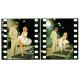Carte Marilyn Monroe - The seven year itch 1954 - 10.5x15 cm