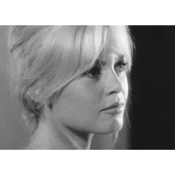 Carte Brigitte Bardot - 10.5x15 cm