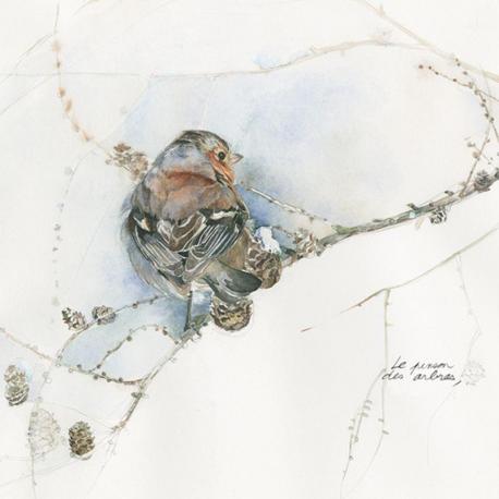 Carte Julie Wintz_Litty - Pinson des arbres - 14x14 cm
