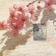 Carte Deborah Schenck - Vintage Letters and Cherry Blossoms - 14x14 cm