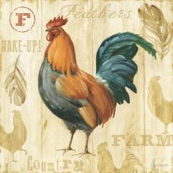 Carte Lisa Audit - Joli Rooster II - 14x14 cm