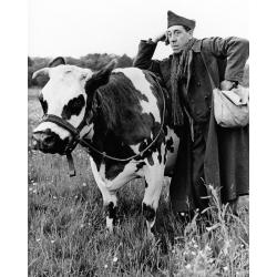 Affiche La Vache et le Prisonnier - Fernandel - Dimension 24x30 cm