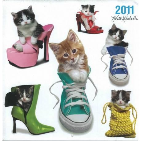 Calendrier Keith Kimberlin 2011 filmé 30x30 cm