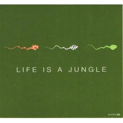 Carte Born 2B - Life is a jungle - 13.5x14.5 cm