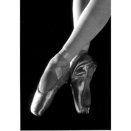 https://www.planete-images.com/boutique-images/18092-large_default/carte-chaussons-de-danse-105x15-cm.jpg