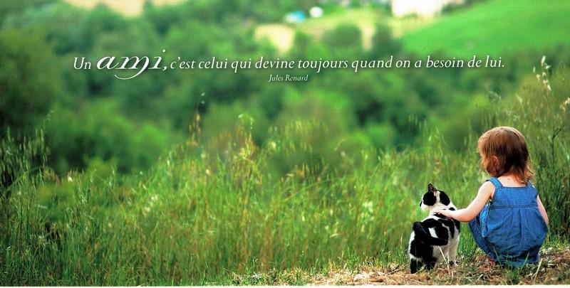 Carte Citation Jules Renard Un Ami C Est Celui Qui Devine 11x21 Cm Planete Images Com Carte Citation Jules Renard Un Ami C Est Celui Qui Devine 11x21 Cm Planete Images Com