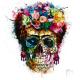 Carte Patrice Murciano - Frida Skull - 14x14 cm