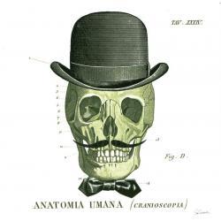 Carte Sue Schlabach - Dandy Bones IV - 14x14 cm