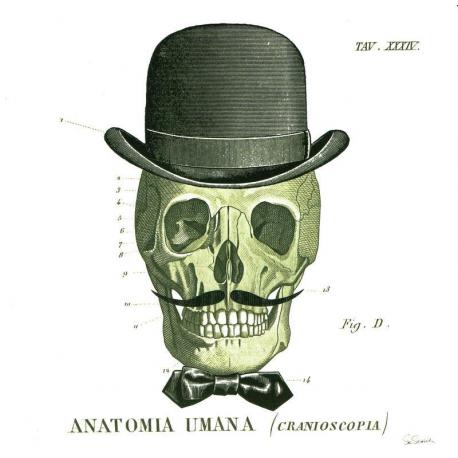 Carte Sue Schlabach - Dandy Bones IV - 14x14 cm