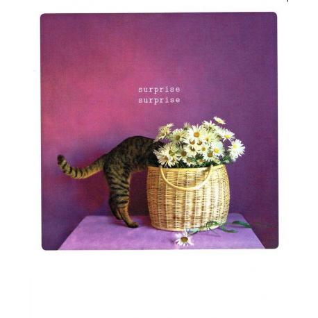 Carte Pickmotion de @Liztarevna - Surprise surprise! - 10.5x13 cm