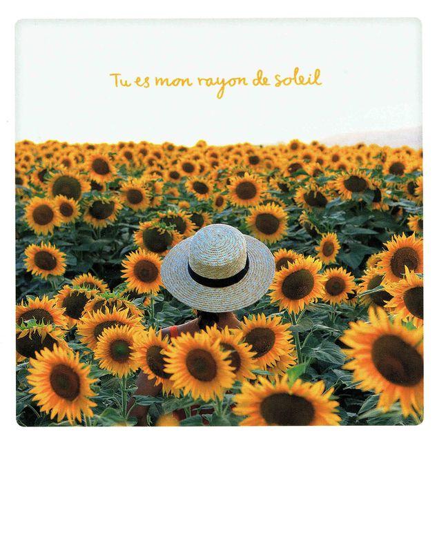 Carte Pickmotion De Pierlu Igi Tu Es Mon Rayon De Soleil 10 5x13 Cm Planete Images Com Carte Pickmotion De Pierlu Igi Tu Es Mon Rayon De Soleil 10 5x13 Cm Planete Images Com