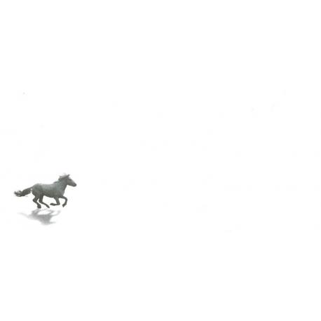 Enveloppe personnalisée - Cheval au galop - 24.3 x 11 cm