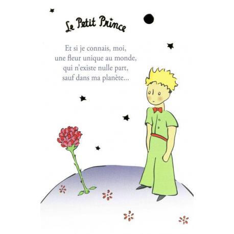 Résultat de recherche d'images pour "le petit prince"