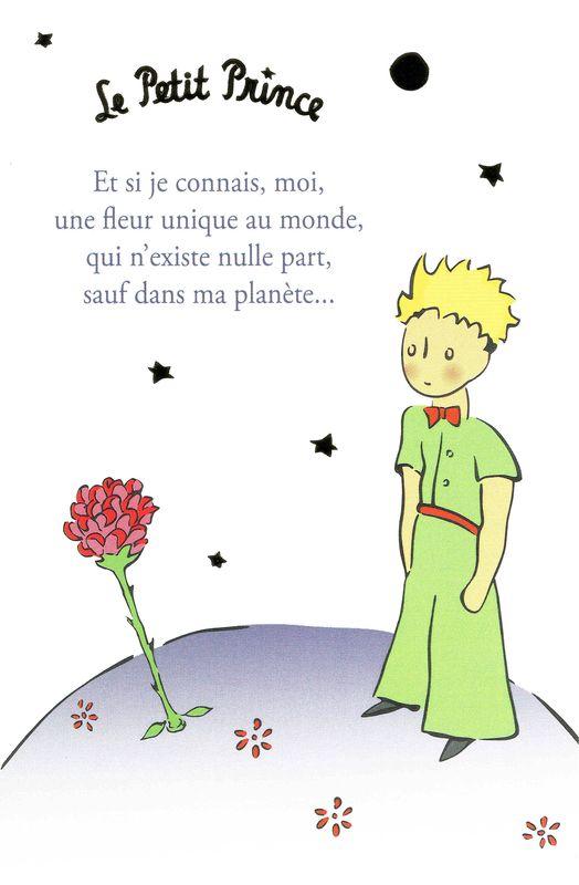 Carte Le Petit Prince De Saint Excupery Et Si Je Connais Moi Une Fleur Unique Au Monde 10x15 Cm Planete Images Com Carte Le Petit Prince De Saint Excupery Et Si Je Connais Moi Une Fleur Unique Au Monde 10x15 Cm Planete Images Com