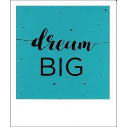 Carte citation - Dream BIG - Polaroid colorchic 10x12 cm