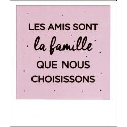 Carte citation - Les amis sont la famille que nous choisissons - Polaroid colorchic 10x12 cm