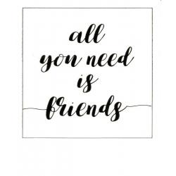 Carte citation - All you need is friends - Polaroid colorchic 10x12 cm