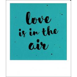 Carte citation - Love is in the air - Polaroid colorchic 10x12 cm