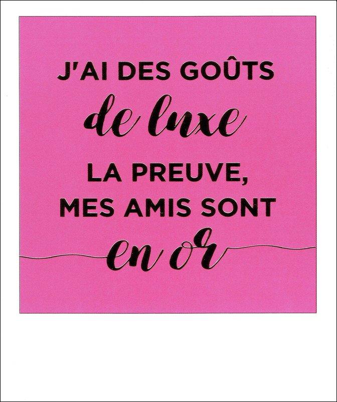 Carte Citation J Ai Des Gouts De Livre La Preuve Mes Amis Sont En Or Polaroid Colorchic 10x12 Cm Planete Images Com