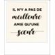 Carte citation - Il n'y a pas de meilleure amie qu'une soeur - Polaroid colorchic 10x12 cm