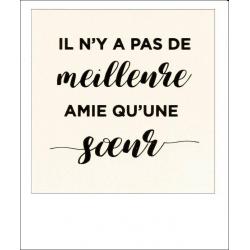 Carte citation - Il n'y a pas de meilleure amie qu'une soeur - Polaroid colorchic 10x12 cm