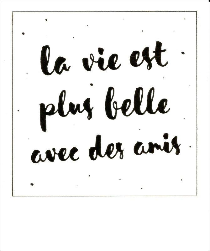 Carte Citation La Vie Est Belle Avec Des Amis Polaroid Colorchic 10x12 Cm Planete Images Com