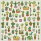 Calendrier Lali 2019 - Cactus - 30x30 cm