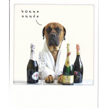 Carte Noël Pickmotion de @Hoohoo_thebully - Bonne année - 10.5x13 cm