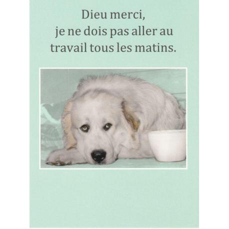 Carte humour de Cath Tate - Dieu merci, je ne dois pas aller au travail... - 10.5x15 cm