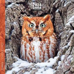 Calendrier 2024 - Chouettes - 16.5 x 16.5 cm - Expédition le jour même.