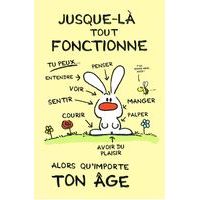 Carte Show lapin - Jusque-là tout fonctionne... - Carte anniversaire