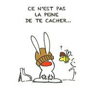 Carte Show lapin - Ce n'est pas la peine de te cacher... - Carte anniversaire