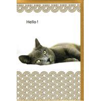 Carte Very Chic - Hello! - 12x17 cm