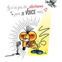 Carte Ze souris folie's - Je n'ai pas été sélectionné pour Ze voice mais... - Carte double 13.7x15.5 cm